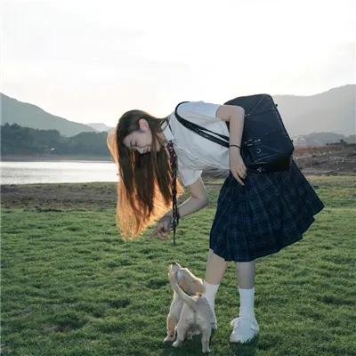 完美世界年番