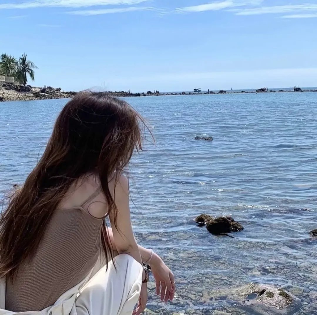 二十美圆
